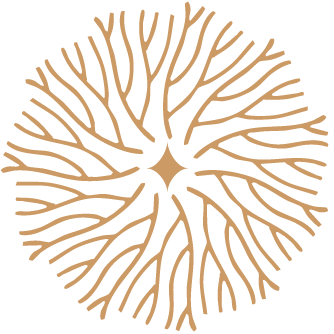 redefine-logo